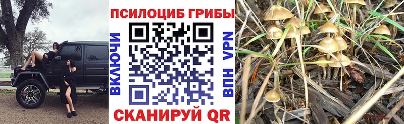 Псилоцибиновые грибы ЛСД мориарти какой сайт Североуральск закладки